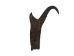 Pronghorn Horn: Extra Large - 192-XL (Y1LC05)