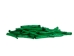 Oil-Painted Dentalium vernedei: ~1" to 1.5": Green (25 g) - 208-25G-PM-GR (Y2KC11)