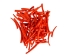 Oil-Painted Dentalium vernedei: ~1" to 1.5": Orange (25 g) - 208-25G-PM-OR (Y2KC12)