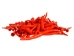 Oil-Painted Dentalium vernedei: ~1" to 1.5": Orange (25 g) - 208-25G-PM-OR (Y2KC12)