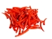 Oil-Painted Dentalium vernedei: ~1" to 1.5": Orange (25 g) - 208-25G-PM-OR (Y2KC12)