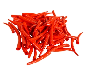 Oil-Painted Dentalium vernedei: ~1" to 1.5": Orange (25 g) dentalia, tusk shells, oil painted