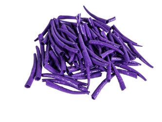 Oil-Painted Dentalium vernedei: ~1" to 1.5": Purple (25 g) dentalia, tusk shells, oil painted