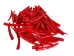 Oil-Painted Dentalium vernedei: ~1" to 1.5": Red (25 g) - 208-25G-PM-RD (Y2KC11)