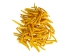 Oil-Painted Dentalium vernedei: ~1" to 1.5": Yellow (25 g) - 208-25G-PM-YL (Y2KC11)