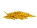 Oil-Painted Dentalium vernedei: ~1" to 1.5": Yellow (25 g) - 208-25G-PM-YL (Y2KC11)