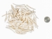 Dentalium vernedei: Large: 1" to 1.5" (100 pieces) - 208-C-L (Y2HC05)
