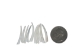 Dentalium vernedei: Medium: 0.75" to 1" (100 pieces) - 208-C-M