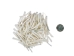 Dentalium vernedei: Extra Large: 1.5" to 2" (100 pieces) - 208-C-XL (Y2LC07)