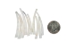 Dentalium vernedei: Large: 1" to 1.5" (10 pieces) - 208-D-L (Y2LC07)