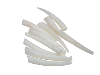 Dentalium vernedei: Medium: 0.75" to 1" (10 pieces) dentalia, tusk shells