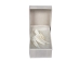 Dentalium vernedei: Small: 0.5" to 0.75" (10 pieces) - 208-D-S (Y2HC05)