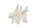 Dentalium vernedei: Extra Large: 1.5" to 2" (10 pieces) - 208-D-XL (Y2LC07)