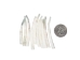 Dentalium vernedei: Extra Extra Large: 1.90" to 2.25" (10 pieces) - 208-D-XXL (Y2LC07)