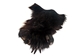 Black Bear Four Feet with Claws - 209-04-4F (9UF12)