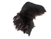 Black Bear Four Feet with Claws - 209-04-4F (9UF12)