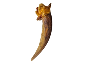 Badger Claw 