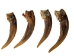 Badger Claw: Extra Large - 209-05XL (Y1EC02)