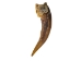 Badger Claw: Extra Large - 209-05XL (Y1EC02)