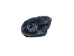 Dried Red Ear Turtle Head - 20H-10-AS (Y1X)