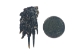 Dried Red Ear Turtle Foot - 21-100-AS (Y2DC02)