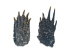 Dried Red Ear Turtle Foot - 21-100-AS (Y2DC02)