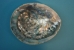 African Abalone Shell: Natural Color: 5" to 5.5" - 220-10-1314 (Y3DRC)