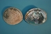 African Abalone Shell: Natural Color: 6" to 6.5" - 220-10-1516 (Y3G-A3)