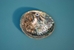 African Abalone Shell: Natural Color: 6" to 6.5" - 220-10-1516 (10UB2)