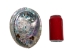 African Abalone Shell: Natural Color: 7.5"+ - 220-10-19+ (Y3DXX)