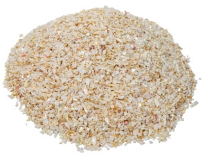 African Abalone Pieces: 2 to 4 mm: Creamy White (kg) 