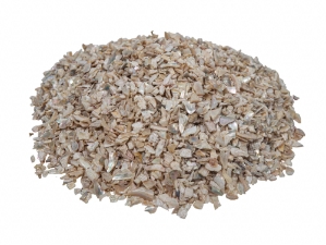 African Abalone Pieces: 4 to 6 mm: Bleached White Dark (kg) 