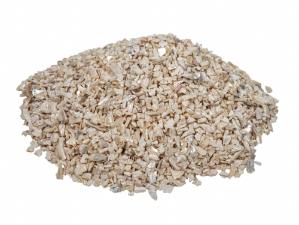 African Abalone Pieces: 4 to 6 mm: Bleached White Light (kg) 