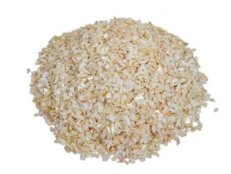 African Abalone Pieces: 4 to 6 mm: Creamy White (kg) 