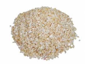 African Abalone Pieces: 4 to 6 mm: Creamy White (kg) 
