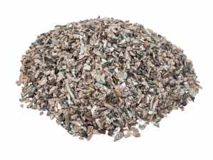 African Abalone Pieces: 4 to 6 mm: Natural Color (kg) 