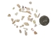 African Abalone Pieces: 5 mm: Bleached White (kg) - 220-TP-05-BW (Y3E)