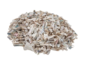 African Abalone Pieces: 6 to 12 mm: Bleached White (kg) 