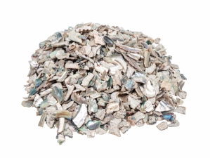 African Abalone Pieces: 6 to 12 mm: Natural Color (kg) 