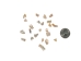 African Abalone Pieces: 10 mm: Light Creamy (kg) - 220-TP-10-LC (Y3E)