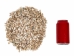 African Abalone Pieces: 10 mm: Light Creamy (kg) - 220-TP-10-LC (Y3E)