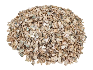African Abalone Pieces: 10 mm: Light Creamy (kg) 