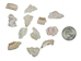 African Abalone Pieces: 12 to 19 mm: Creamy White (kg) - 220-TP-1219-CW (10UBR4)