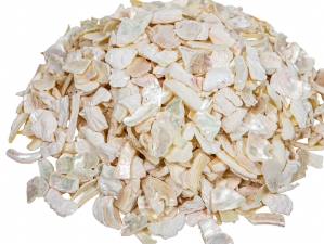 African Abalone Pieces: 12 to 19 mm: Creamy White (kg) 