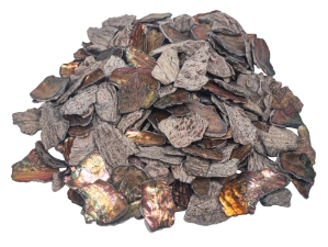 African Abalone Pieces: 19mm+: Copper (kg) 