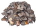 African Abalone Pieces: 19mm+: Copper (kg) - 220-TP-19UP-CP (10UBR2)