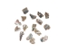 African Abalone Pieces: 25 mm: Creamy White (kg) - 220-TP-25-CR (Y3E)