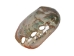 Polished Mexican Red Abalone Shell: 2" to 3" - 221-23RP (Y1MC11)