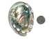 Polished Mexican Red Abalone: 3" to 4" - 221-34RP (B7)