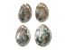 Polished Mexican Red Abalone: 3" to 4" - 221-34RP (Y1MC14)